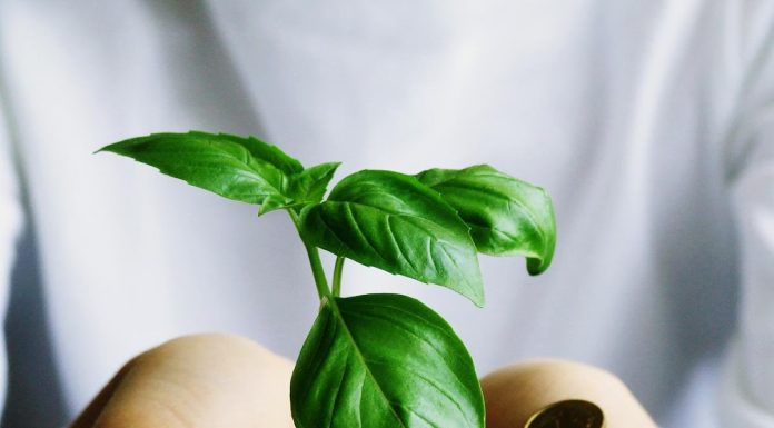 مسئولیت اجتماعی در زمان بحران مسئولیت اجتماعی در زمان بحران