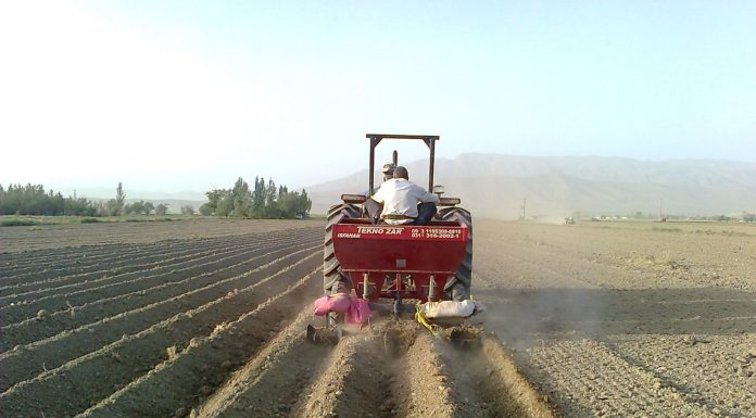 نقص قانون ارث عامل کوچک شدن زمینهای کشاورزی نقص قانون ارث عامل کوچک شدن زمینهای کشاورزی