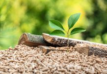 انرژی زیستتوده بزرگترین منبع انرژی تجدیدپذیر جهان است انرژی زیستتوده بزرگترین منبع انرژی تجدیدپذیر جهان است