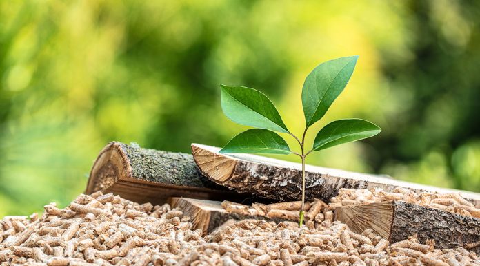 انرژی زیستتوده بزرگترین منبع انرژی تجدیدپذیر جهان است انرژی زیستتوده بزرگترین منبع انرژی تجدیدپذیر جهان است