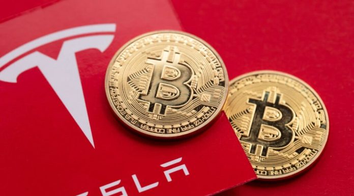 تسلا و رمزارز برندگان اقتصادی پیروزی ترامپ تسلا و رمزارز برندگان اقتصادی پیروزی ترامپ