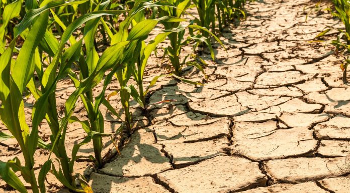 هشدار سال سخت آبی هشدار سال سخت آبی