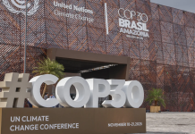چرا COP30 آزمون نهایی هوش طبیعی ماست چرا COP30 آزمون نهایی هوش طبیعی ماست