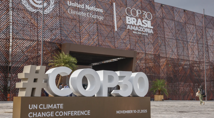 چرا COP30 آزمون نهایی هوش طبیعی ماست چرا COP30 آزمون نهایی هوش طبیعی ماست