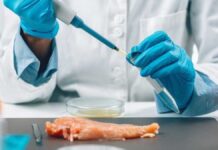 آزمایشگاه مواد غذایی؛ نقش آزمایشهای تخصصی در کنترل کیفیت و سلامت محصولات آزمایشگاه مواد غذایی؛ نقش آزمایشهای تخصصی در کنترل کیفیت و سلامت محصولات