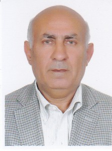 مهندس محمدعلیزاده بِرمی